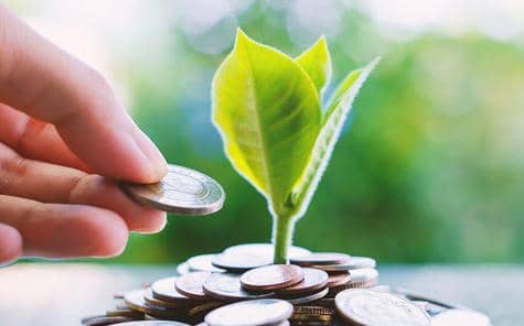 Hand Saving A Coin To Plant Growing From Piles Of Money On Blurred Green Natural Background For Business And Financial Growth Concept