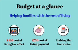 Budget At A Glance Video